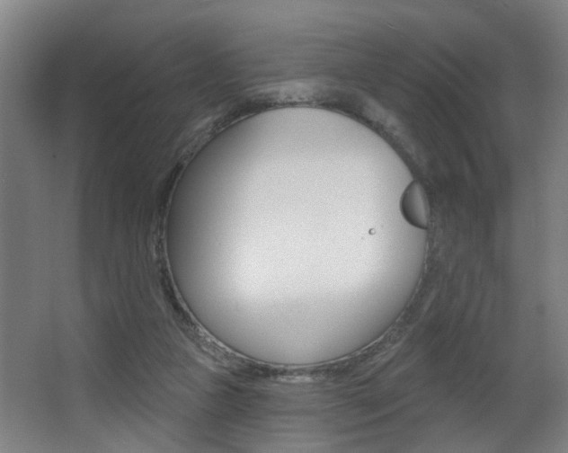 X0000068270161200604210949