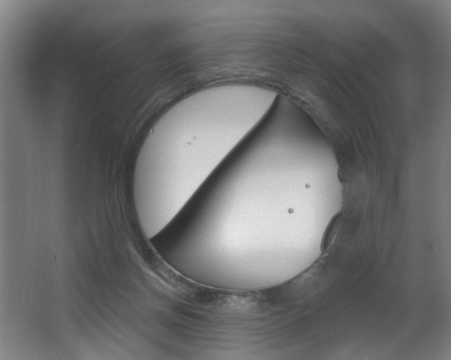 X0000068270166200604210949