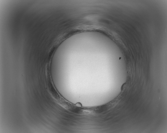 X0000068270167200604210949