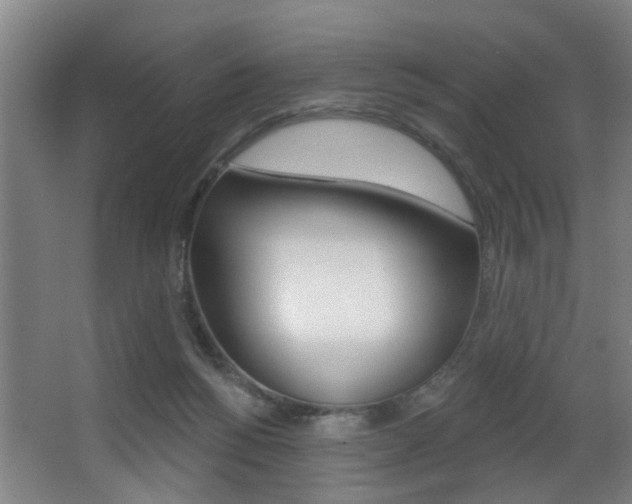 X0000068270168200604210949