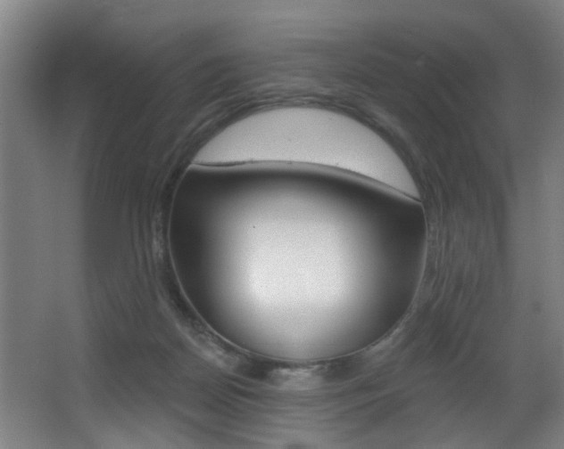 X0000068270170200604210949