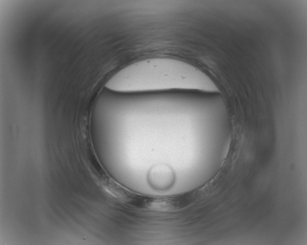 X0000068270171200604210949