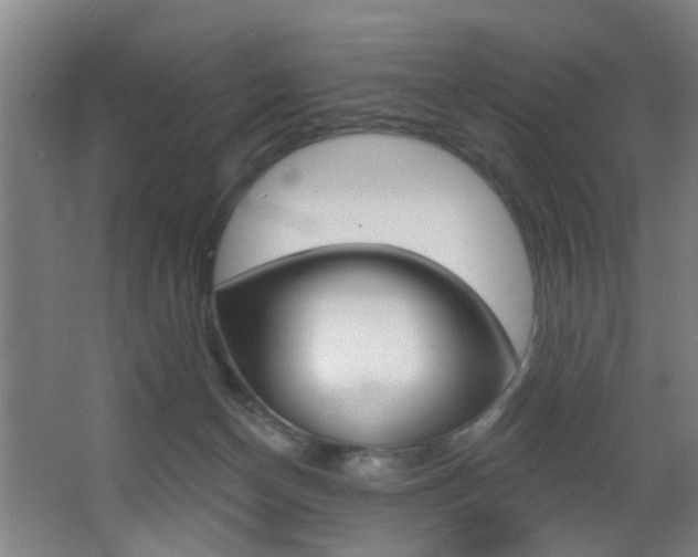 X0000068270174200604210949