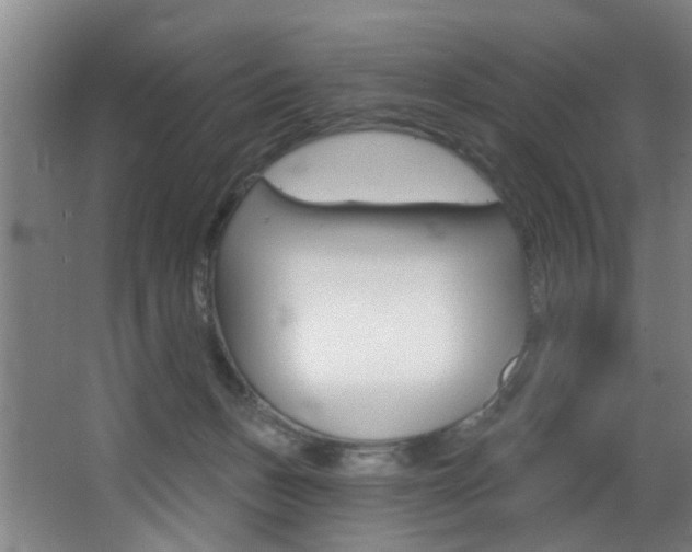 X0000068270175200604210949