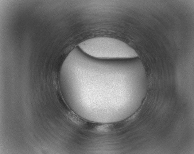 X0000068270178200604210950