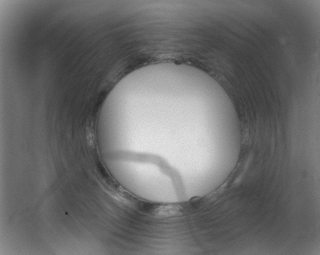 X0000068270179200604210950