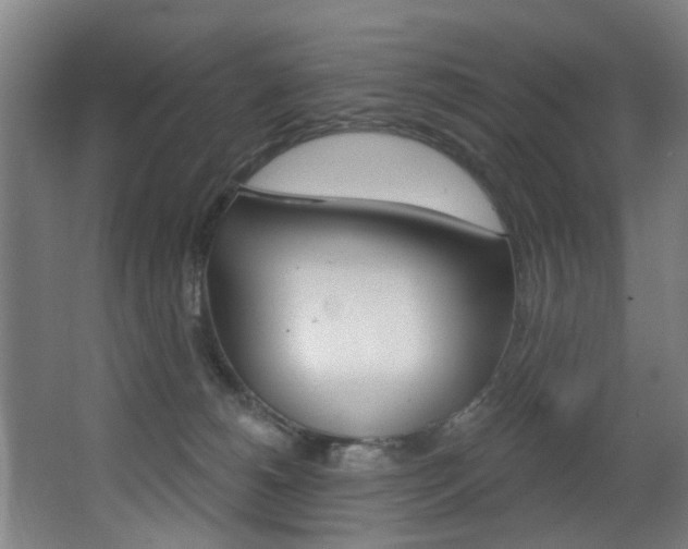 X0000068270180200604210950