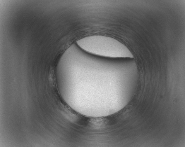 X0000068270181200604210950