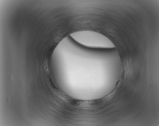 X0000068270182200604210950