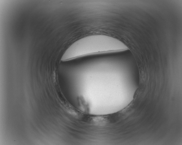 X0000068270183200604210950