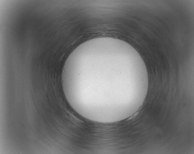 X0000068270184200604210950