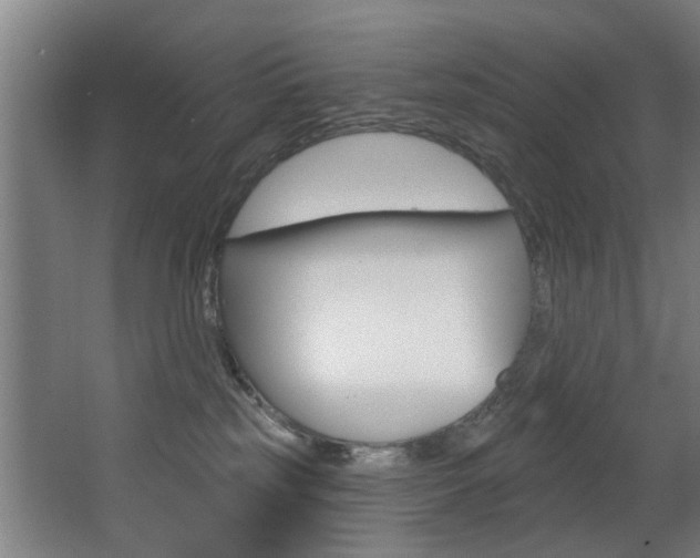 X0000068270185200604210950