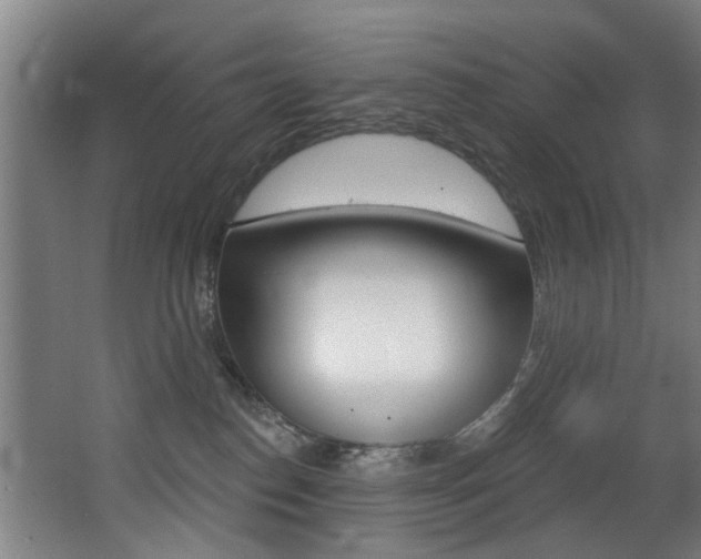 X0000068270186200604210950