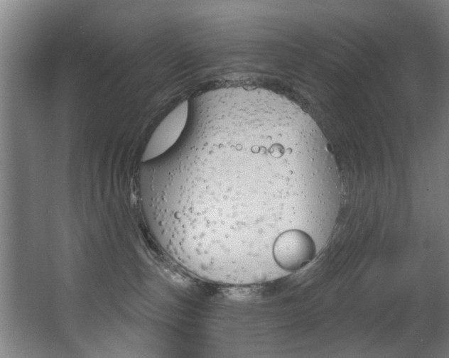 X0000068270187200604210950