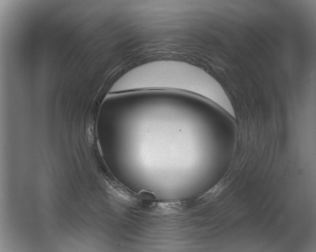 X0000068270188200604210950