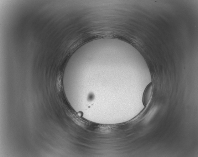 X0000068270190200604210950