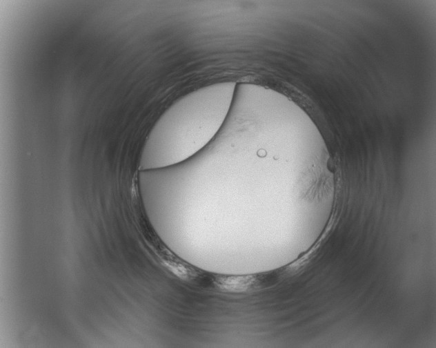 X0000068270191200604210950