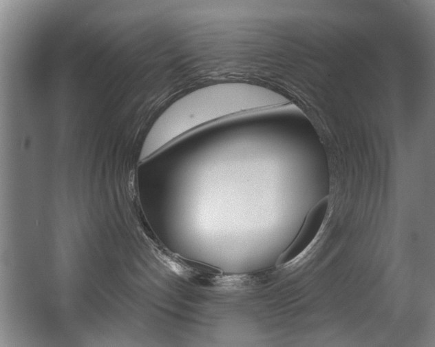 X0000068270192200604210950