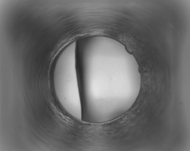 X0000068270194200604210949