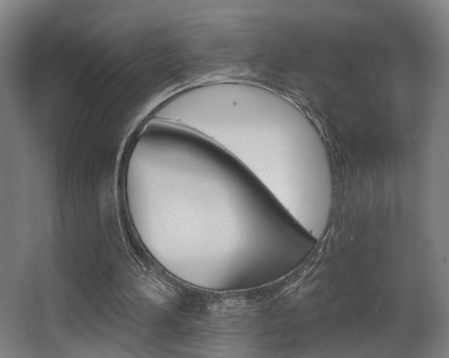 X0000068270196200604210949