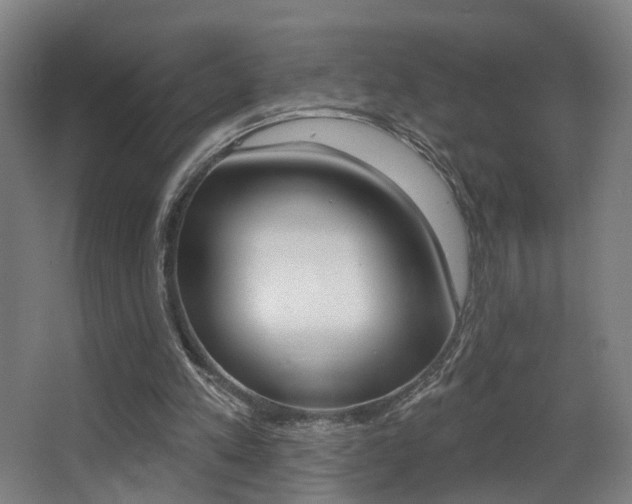 X0000068270197200604210949