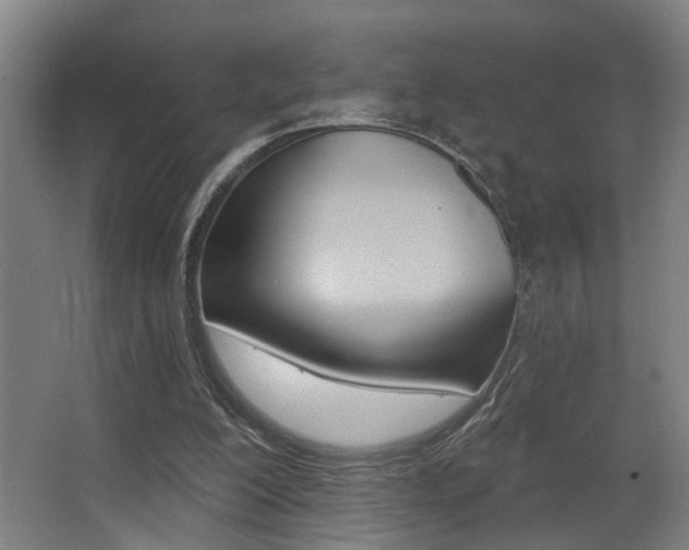 X0000068270200200604210949