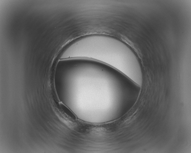 X0000068270203200604210949