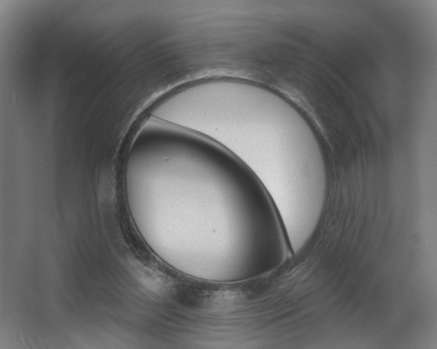 X0000068270204200604210949