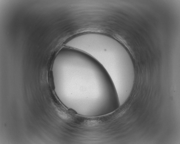 X0000068270205200604210949