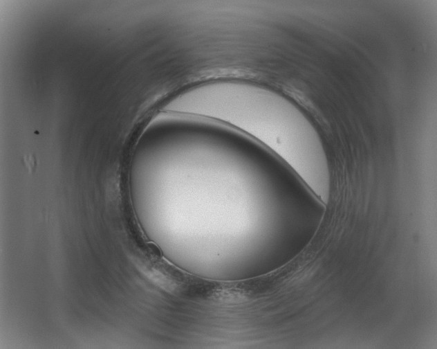 X0000068270207200604210949