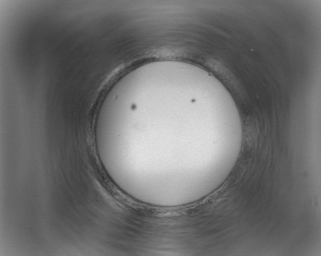 X0000068270208200604210949