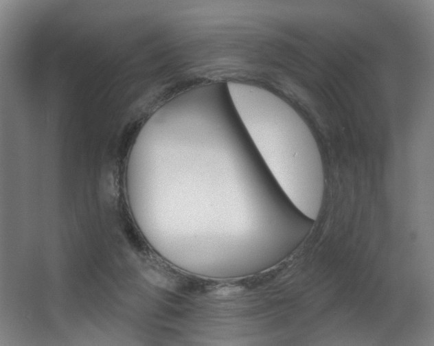 X0000068270210200604210949