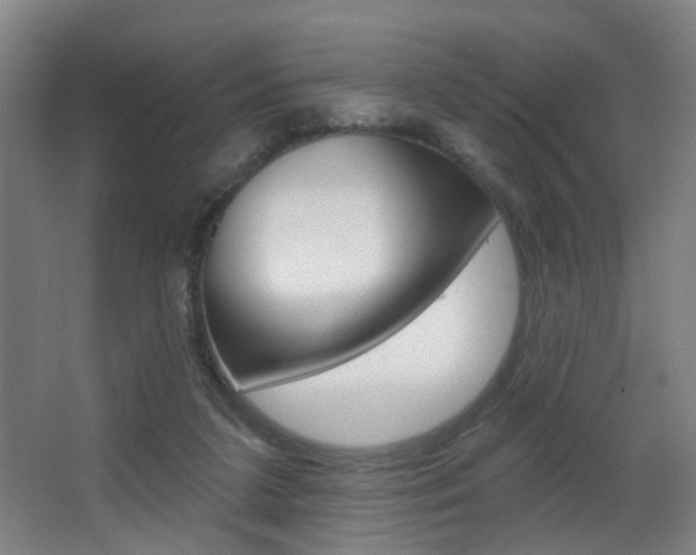 X0000068270211200604210949