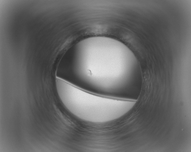 X0000068270212200604210949