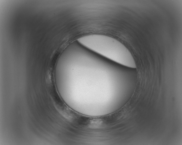 X0000068270214200604210949