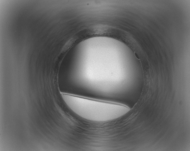 X0000068270216200604210949