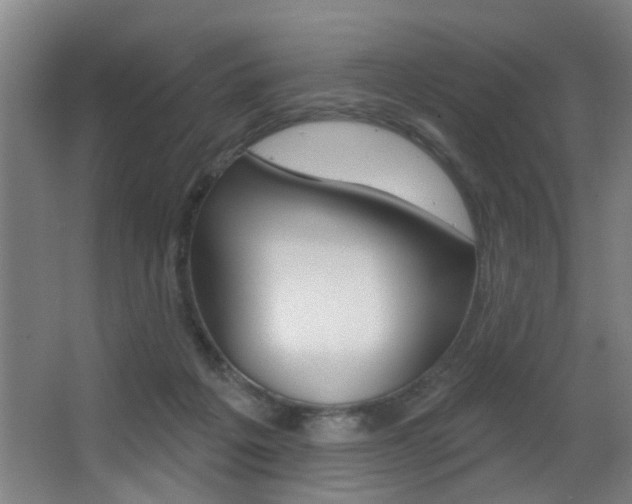 X0000068270217200604210949