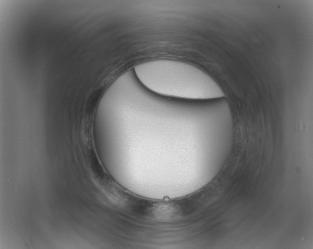 X0000068270218200604210949