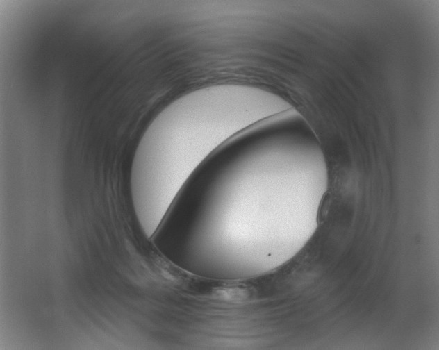 X0000068270220200604210948