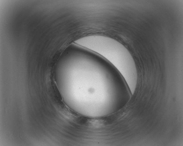 X0000068270221200604210948