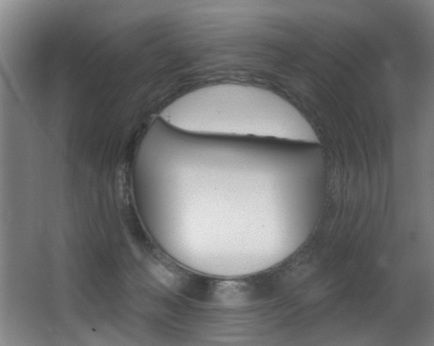 X0000068270222200604210948