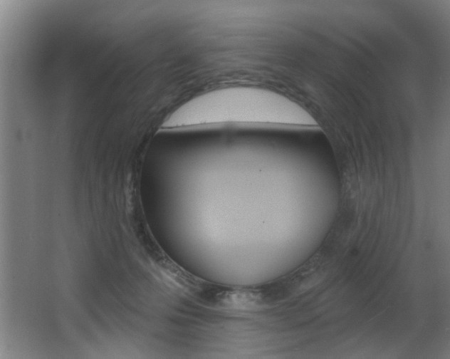 X0000068270223200604210948