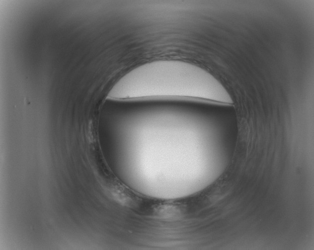 X0000068270224200604210948