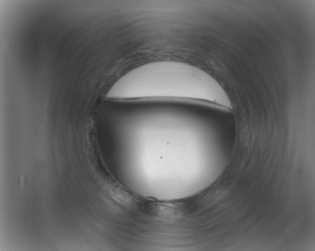 X0000068270229200604210948