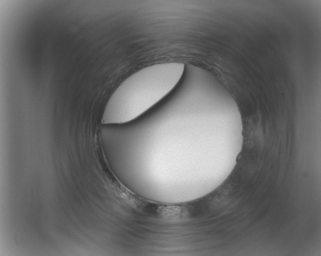 X0000068270230200604210948