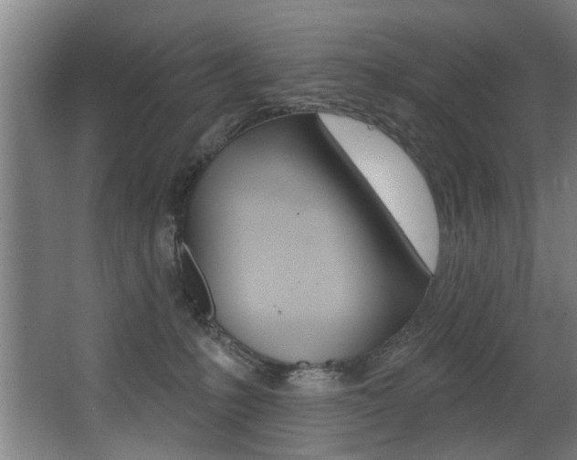 X0000068270231200604210948