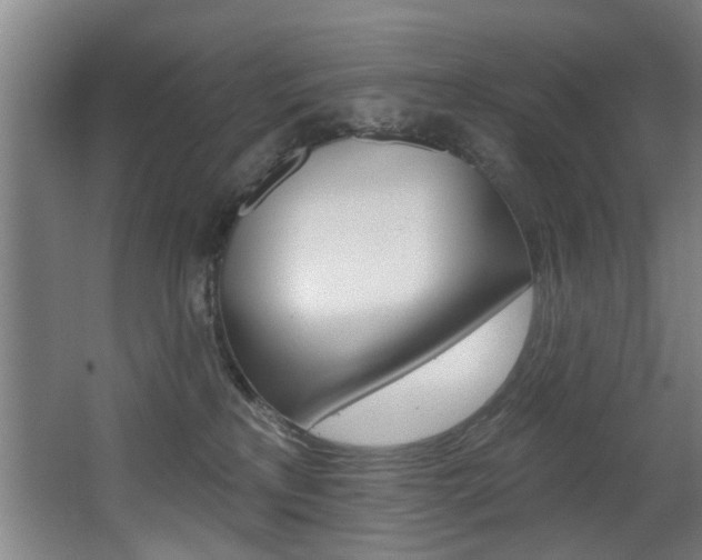 X0000068270233200604210948