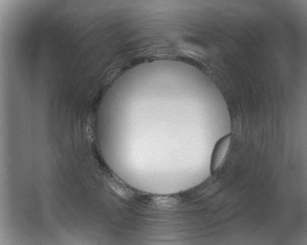 X0000068270234200604210948