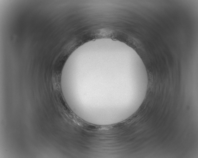 X0000068270236200604210948