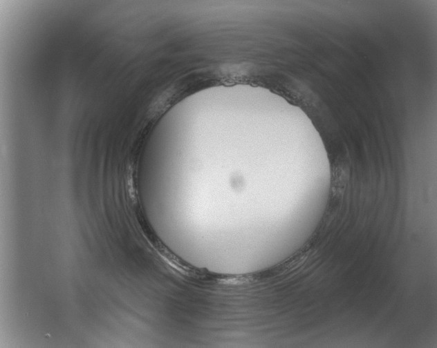 X0000068270238200604210948